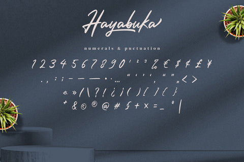Hayabuka - Signature Font Font Ibey Design 
