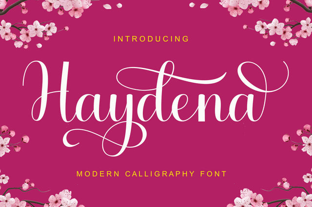 Haydena Font gatype 