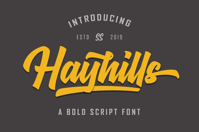 Hayhills Script Font Suby Studio 