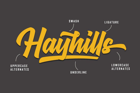 Hayhills Script Font Suby Studio 