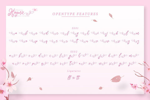 Haymie Script Font yumnatype 