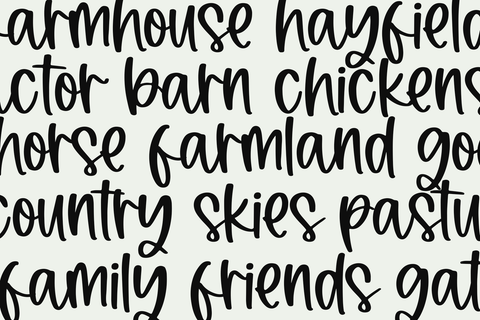 Haystacked - A Handwritten Script Font Font KA Designs 