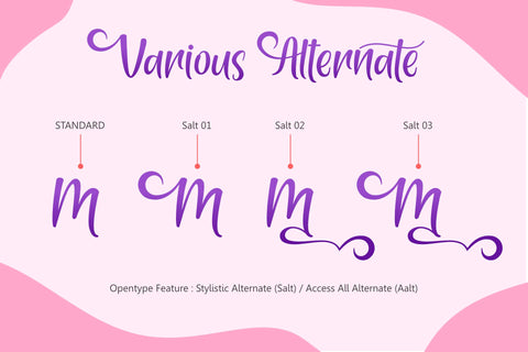 Haystay Melody Font Holydie Studio 