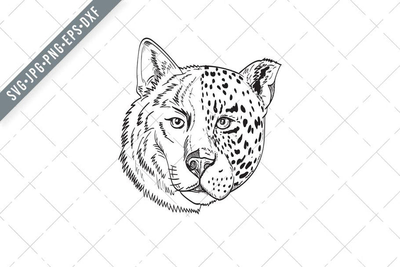 Head of Half Timber Wolf and Half Jaguar Panther or Leopard Drawing Black and White SVG Patrimonio Designs Limited 