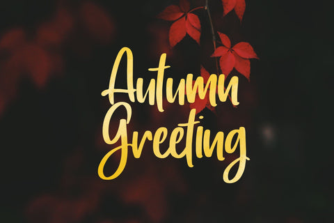 Heart Memory - Handwritten Font Font Dm Letter Studio 