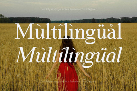 Heartfield Typeface Font Storytype Studio 