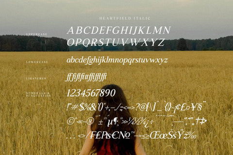 Heartfield Typeface Font Storytype Studio 