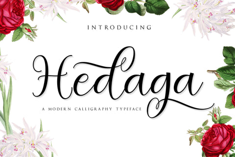 Hedaga Script Font Anastasia 