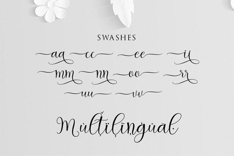 Hedaga Script Font Anastasia 