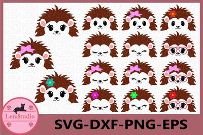 Hedgehog Face SVG SVG Lerastudio 