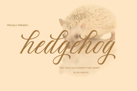 Hedgehog Font JoeCreative 