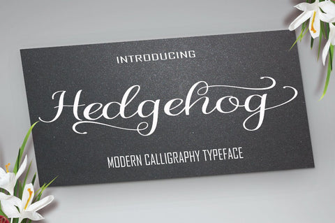 Hedgehog Font PolemStudio 