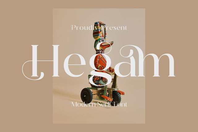 Hegam Typeface Font Storytype Studio 