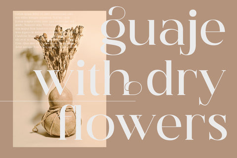 Hegam Typeface Font Storytype Studio 