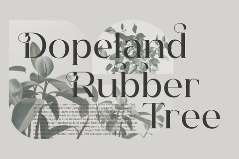 Hegam Typeface Font Storytype Studio 