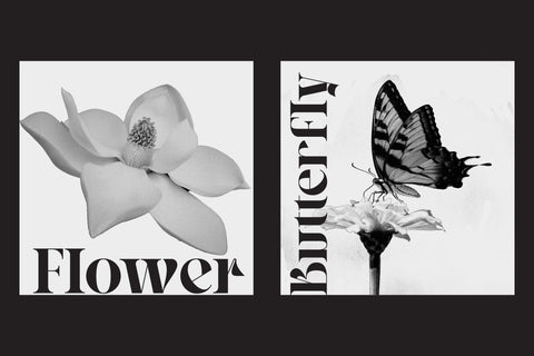 Hegarown - Display Font Font Irvan Randi 