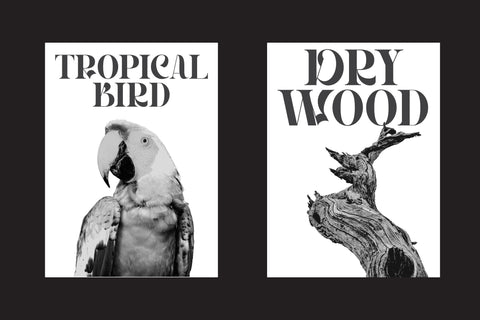 Hegarown - Display Font Font Irvan Randi 