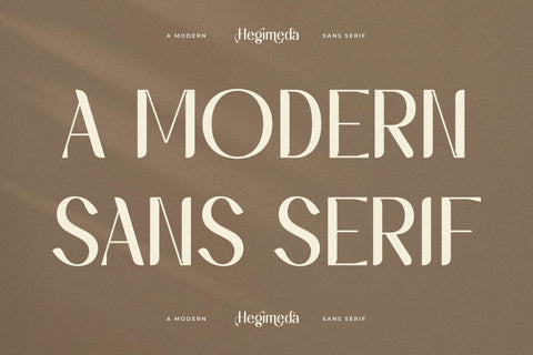 Hegimeda Typeface Font Storytype Studio 