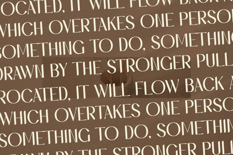 Hegimeda Typeface Font Storytype Studio 