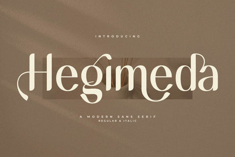 Hegimeda Typeface Font Storytype Studio 