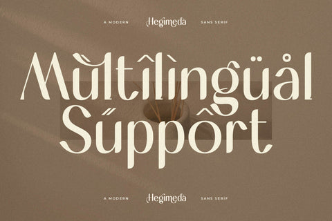Hegimeda Typeface Font Storytype Studio 