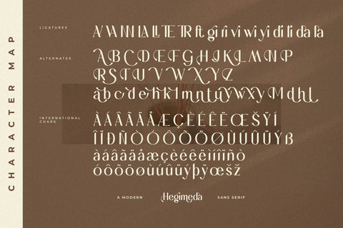 Hegimeda Typeface Font Storytype Studio 