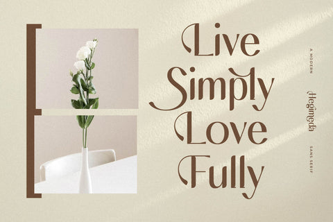 Hegimeda Typeface Font Storytype Studio 