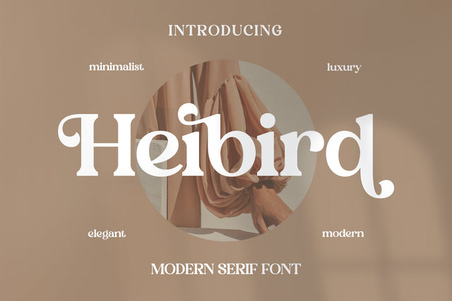 Heibird Typeface Font Storytype Studio 