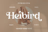 Heibird Typeface - So Fontsy