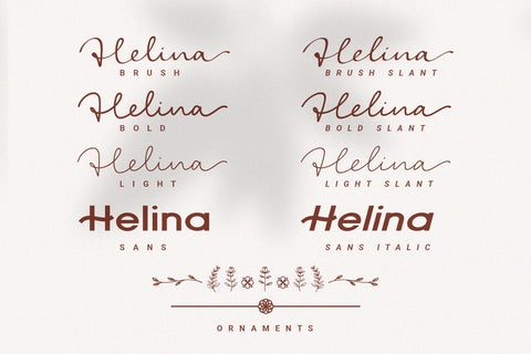 Helina 8 Elegant Fonts and Ornaments Font Balevgraph Studio 