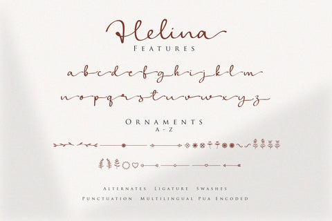 Helina 8 Elegant Fonts and Ornaments Font Balevgraph Studio 