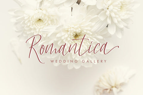 Hellena - Handwritten Script Font Font Dm Letter Studio 