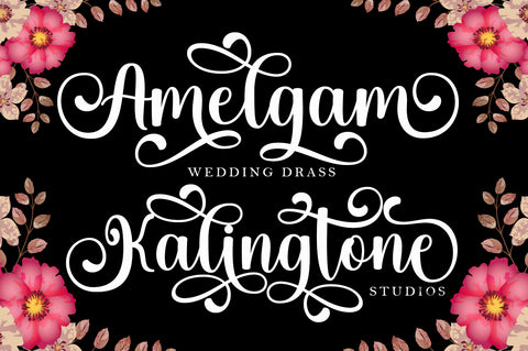 Hello Bakista Script Font muhammadzeky 