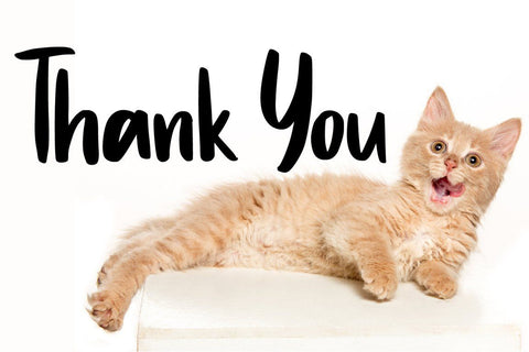 Hello Berlin Font Vultype Co 