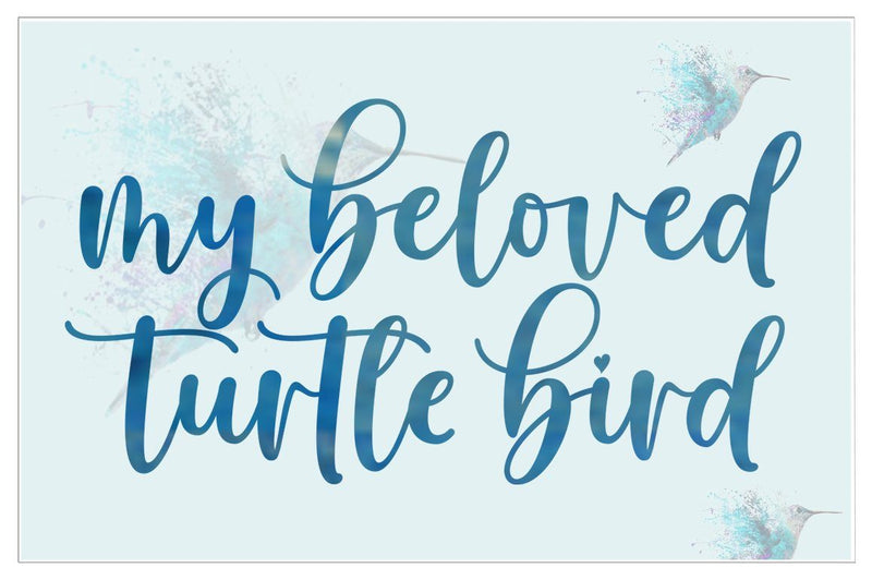 Hello Bluebird Font Duo - So Fontsy