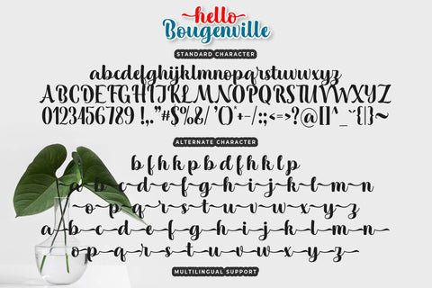 Hello Bougenville Font love script 