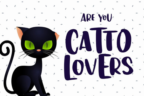 Hello Catto - Fun Rough Brush Font Font Dm Letter Studio 