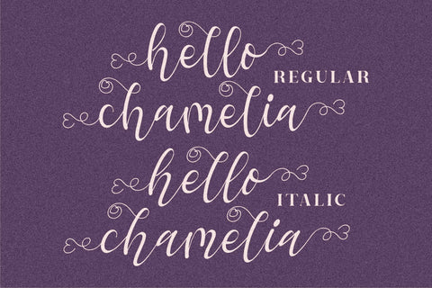 hello chamelia Font Letterena Studios 