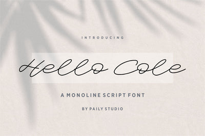 Hello Cole Monoline Script Font Font Paily Studio 