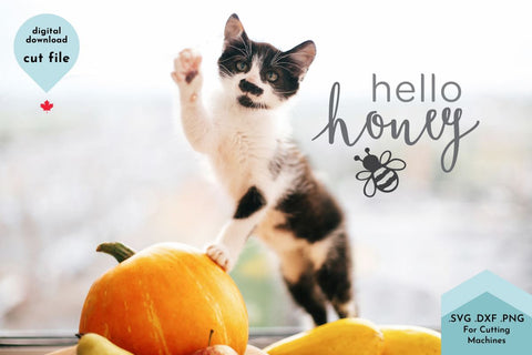 Hello Honey SVG Cut File SVG Lettershapes 