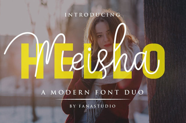 Hello Meisha a Modern Font Duo Font Anastasia 