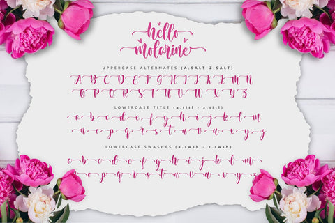 Hello Molarine Font Zeenesia Std 