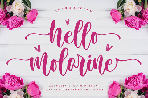 Hello Molarine Font Zeenesia Std 