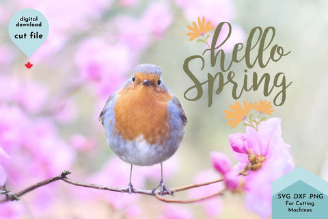 Hello Spring with Flowers Hand Drawn SVG Cut File SVG Lettershapes 