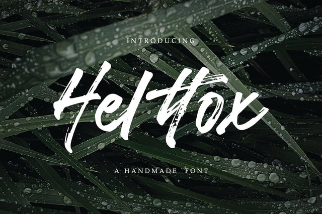 Helttox Font gatype 