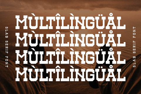 Henk Singer Typeface Font Storytype Studio 