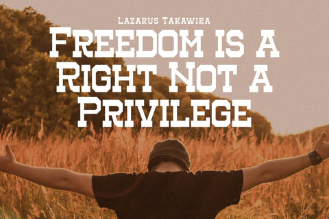 Henk Singer Typeface Font Storytype Studio 