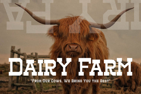 Henk Singer Typeface Font Storytype Studio 