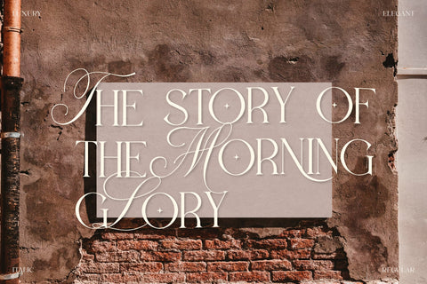 Heralen Antelik Typeface Font Storytype Studio 