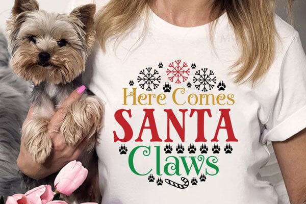 here comes santa claws SVG Angelina750 